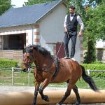 Équipement de base pour votre première équitation