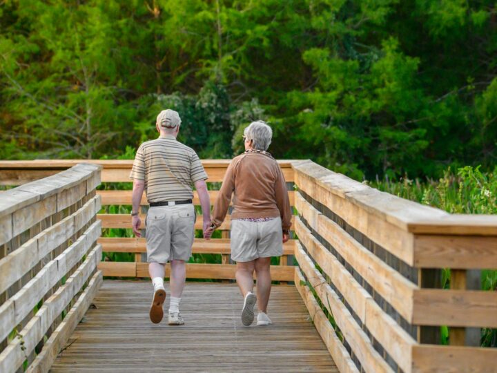 Qu’est-ce que les seniors aiment faire ?