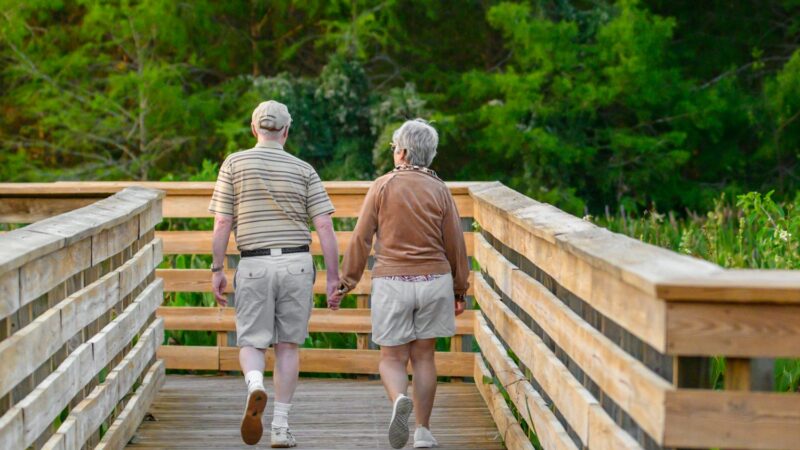 Qu’est-ce que les seniors aiment faire ?