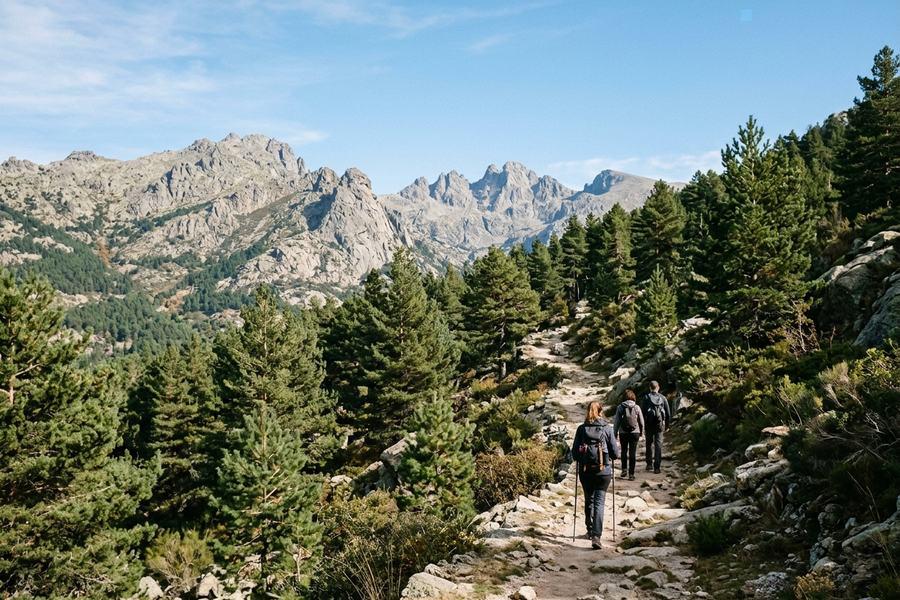 Team Building Pleine Nature : Se Mettre au Vert en Espagne